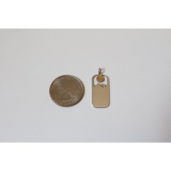 Sterling Silver Moose Pendant with Bronze Sun - Picture 4 of 8